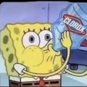 Meet your Posher, Davina